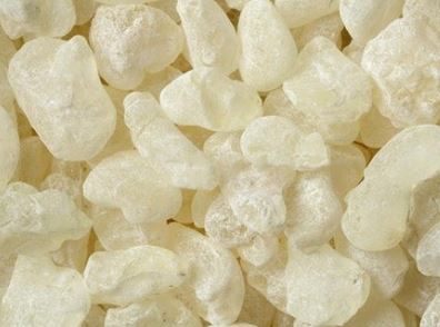Mastic gum: Uses, benefits, side effects, and more