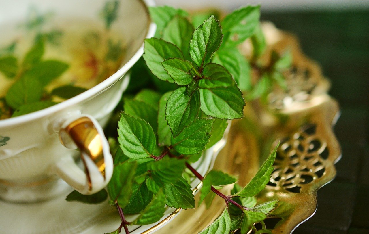 Benefits of Spearmint Tea for Hormone Balance & Reducing Chin Hair